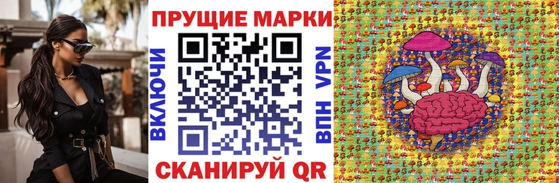 МЕГА ССЫЛКА  Петров Вал  Марки NBOMe 1500мкг  купить наркотики цена 